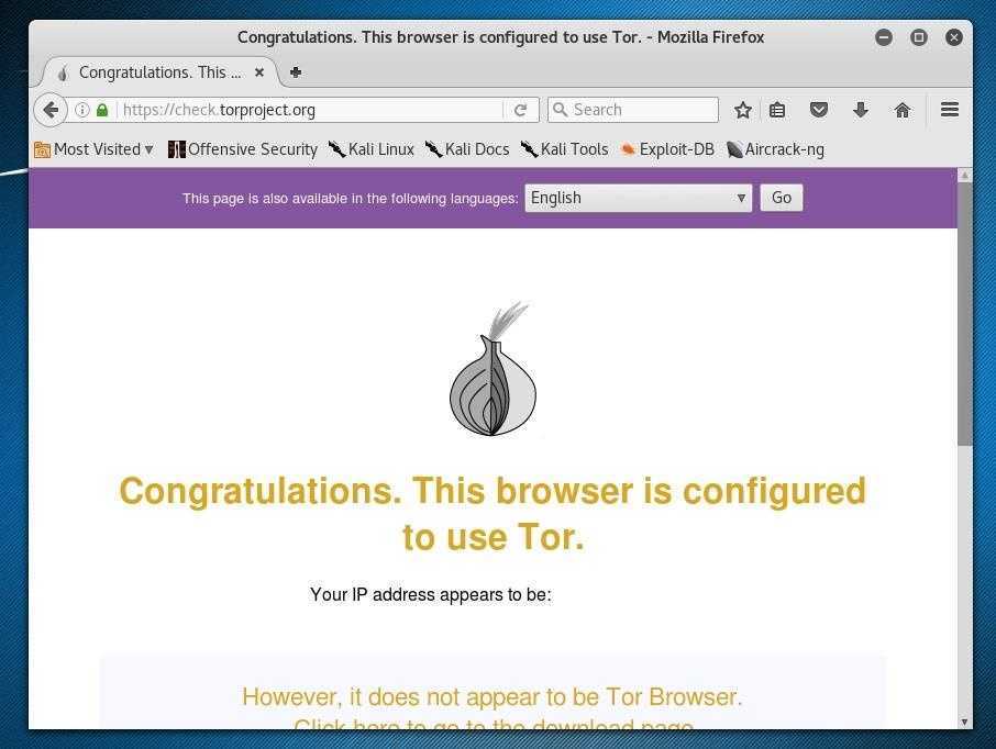 using a tor browser hyrda