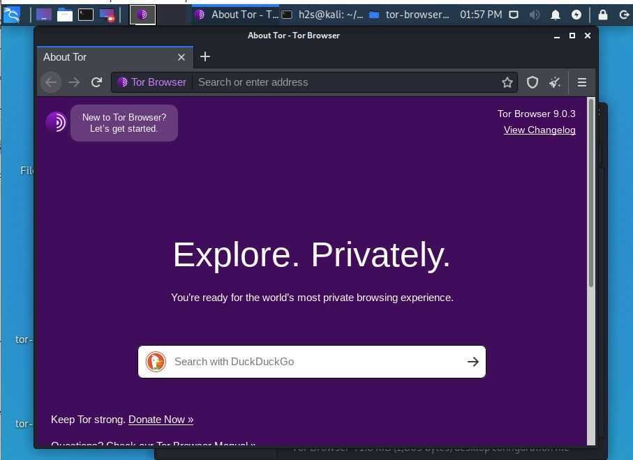 tor browser for linux вход на гидру