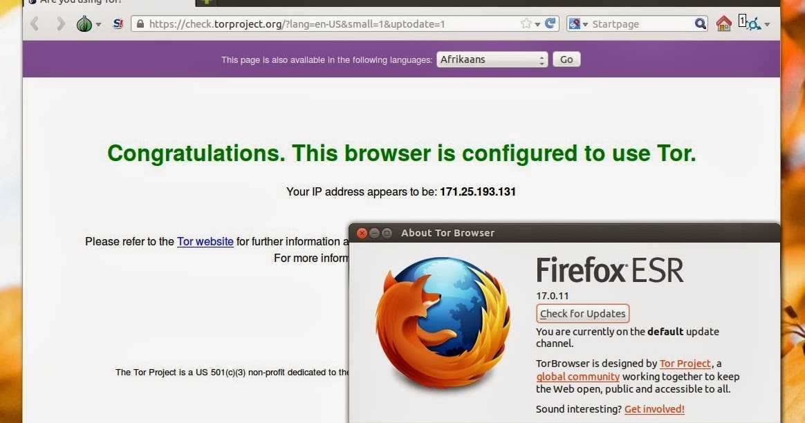 is tor browser based on firefox hudra